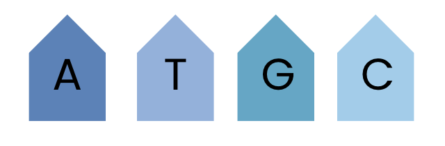 There are four arrow shapes in different colours. Each shape contains either the letter A, T, C or G.