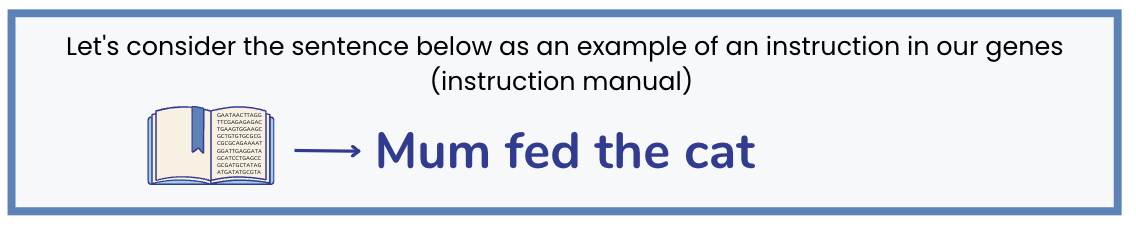 Consider the sentence "Mum fed the cat"