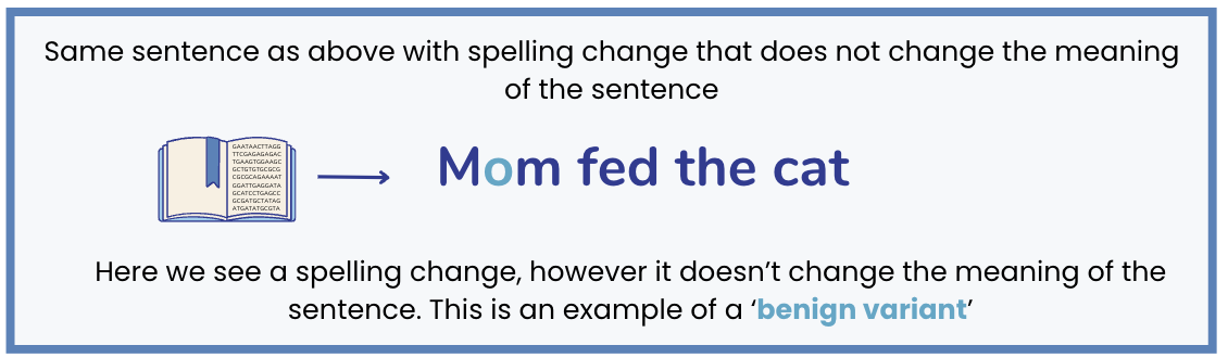 A slight change of spelling may not effect the meaning of the sentence. "Mom fed the cat". This is an example of benign variation.