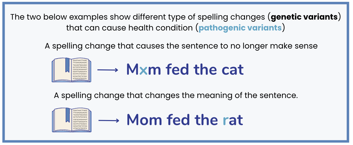 Some spelling changes impact the meaning of the sentence. "Mum fed the rat". This is an example of pathogenic variation.